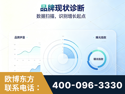 随州-品牌现状诊断