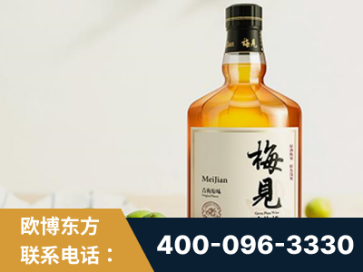 随州-梅见青梅酒